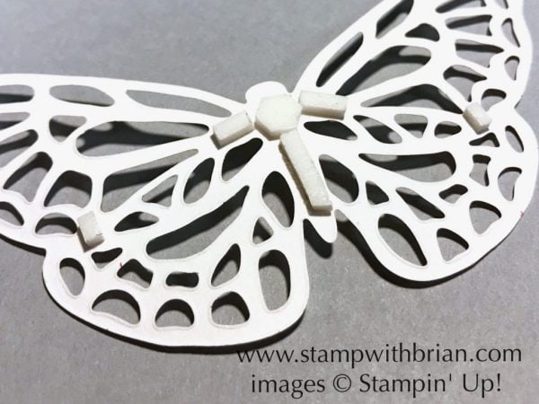 Springtime Impressions Thinlits Dies, Stampin' Up!, Brian King Springtime Impressions Thinlits Dies, Stampin' Up!, Brian King