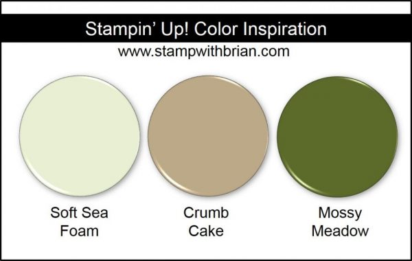 Stampin' Up! Color Inspiration: Soft Sea Foam, Crumb Cake, Mossy Meadow