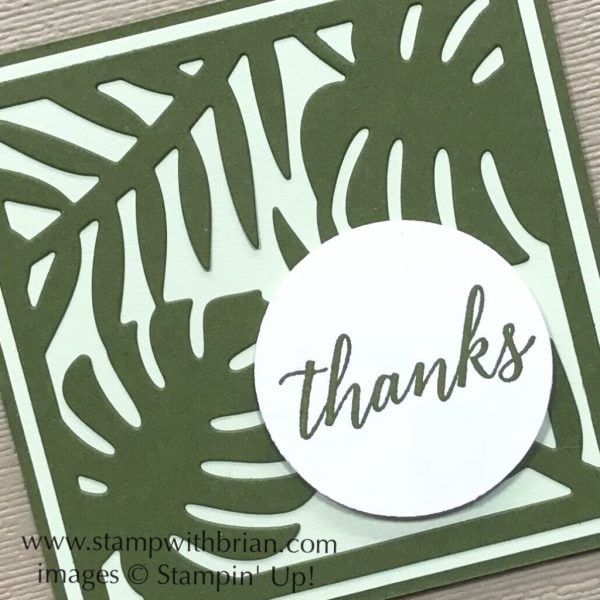 Tropical Chic Bundle, Stampin' Up!, Brian King