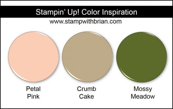 Stampin' Up! Color Inspiration: Petal Pink, Crumb Cake, Mossy Meadow