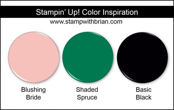 Stampin' Up! Color Inspiration: Blushing Bride, Shaded Spruce, Basic Black