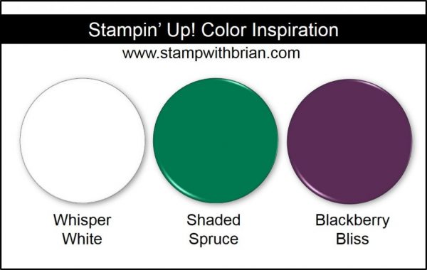 Stampin' Up! Color Inspiration: Whisper White, Shaded Spruce, Blackberry Bliss