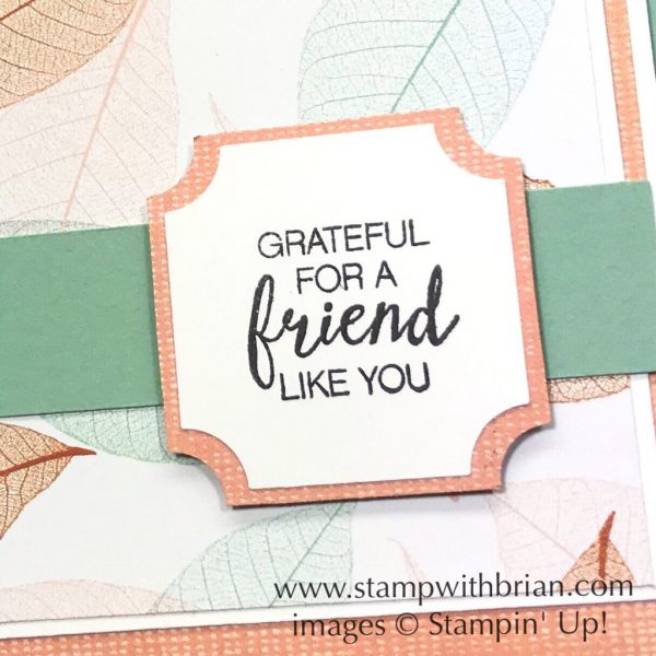 Bunch of Blossoms, Nature's Poem Designer Series Paper, Stampin' Up!, Brian King, CTS283