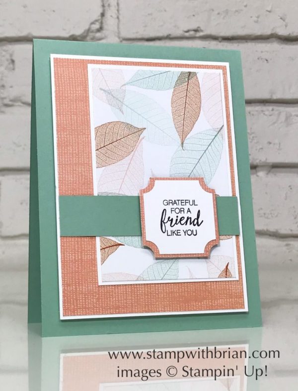 Bunch of Blossoms, Nature's Poem Designer Series Paper, Stampin' Up!, Brian King, CTS283