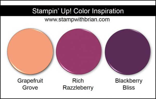 Stampin' Up! Color Inspiration: Grapefruit Grove, Rich Razzleberry, Blackberry Bliss