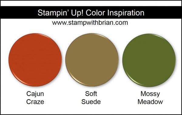 Stampin' Up! Color Inspiration: Cajun Craze, Soft Suede, Mossy Meadow