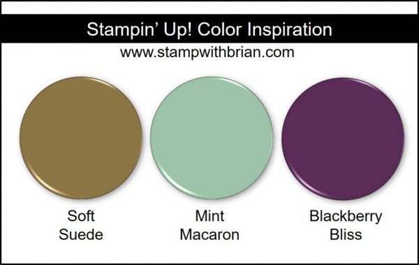 Stampin' Up! Color Inspiration: Soft Suede, Mint Macaron, Blackberry Bliss Stampin' Up! Color Inspiration: Soft Suede, Mint Macaron, Blackberry Bliss