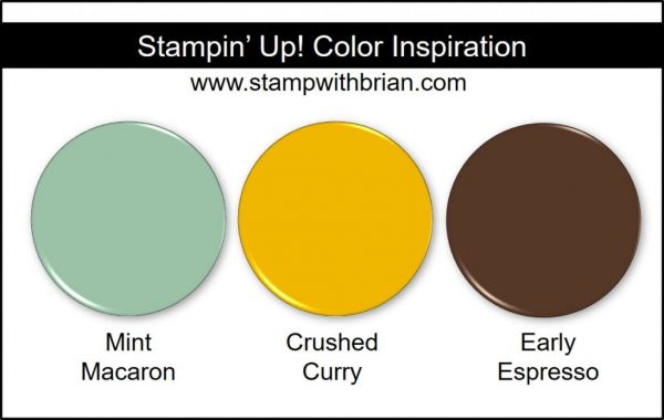 Stampin' Up! Color Inspiration: Mint Macaron, Crushed Curry, Early Espresso Stampin' Up! Color Inspiration: Mint Macaron, Crushed Curry, Early Espresso