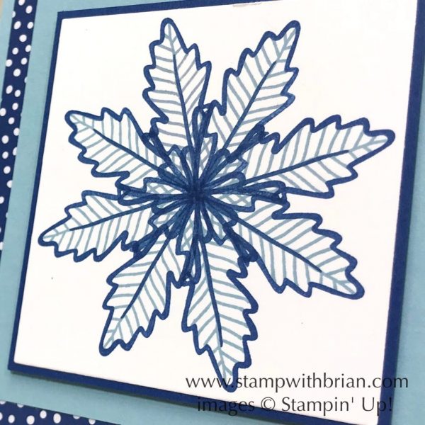 Falling for Leaves, Alpine Adventure, Stampin' Up!, Brian King