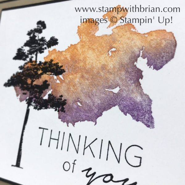 Beautiful Blizzard, Rooted in Nature, Another Wonderful Year, Stampin' Up!, Brian King, thanking of you card