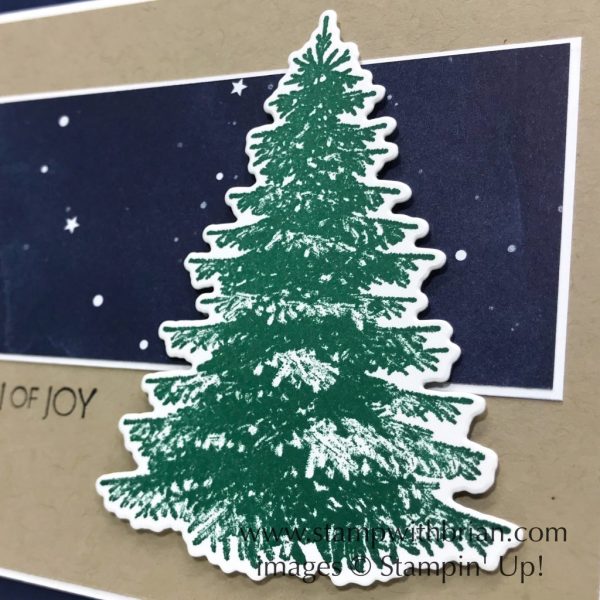 Winter Woods, Night in Bethlehem, Stampin' Up!, Brian King, Christmas card