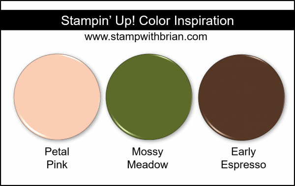 Stampin' Up! Color Inspiration - Petal Pink, Mossy Meadow, Early Espresso
