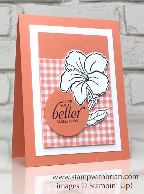Humming Along, Gingham Gala Designer Series Paper, Stampin' Up!, Brian King, get well card