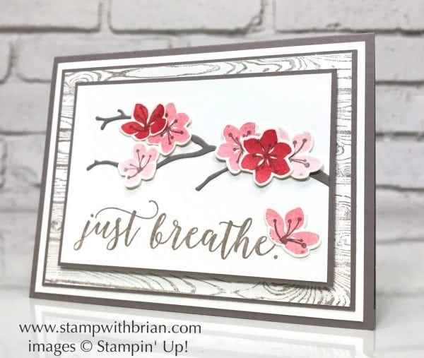 Colorful Seasons, Hardwood, Seasonal Layers Thinlits Dies, Stampin' Up!, Brian King