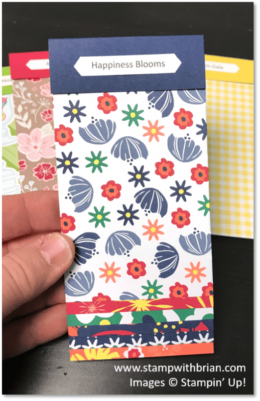 2019 Occasions Catalog Designer Series Paper Swatch Books, Stampin' Up!, Brian King