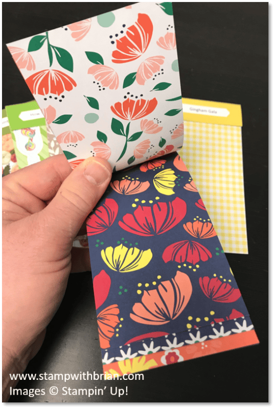 2019 Occasions Catalog Designer Series Paper Swatch Books, Stampin' Up!, Brian King