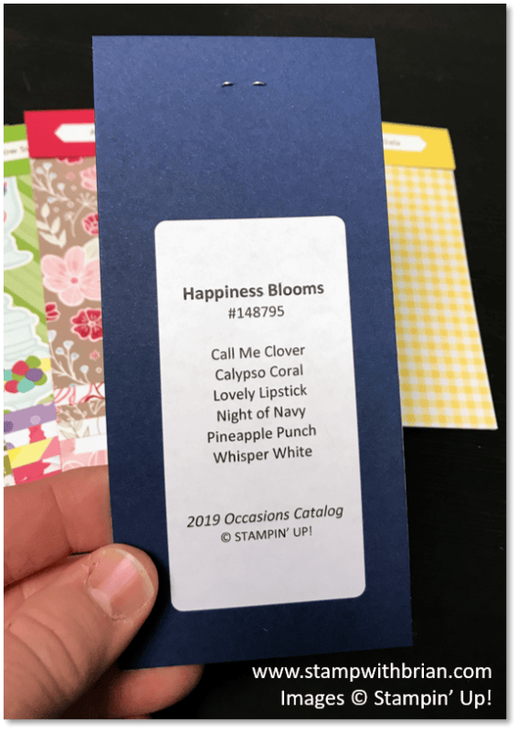 2019 Occasions Catalog Designer Series Paper Swatch Books, Stampin' Up!, Brian King