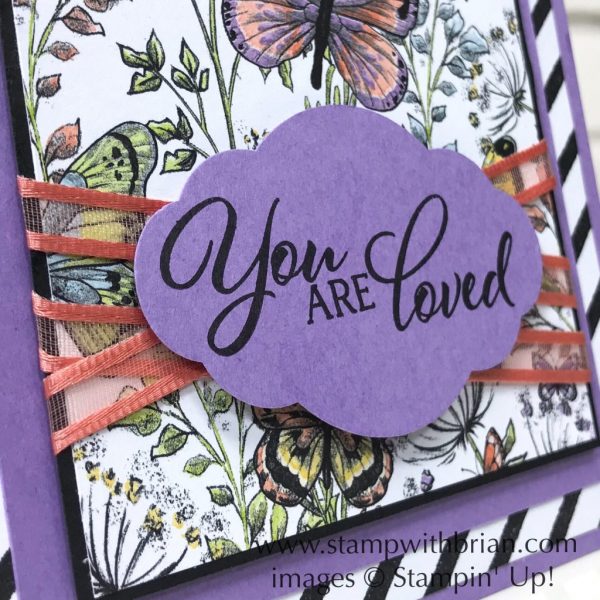 Forever Lovely, Botanical Butterfly Designer Series Paper, Stampin' Up!, Brian King