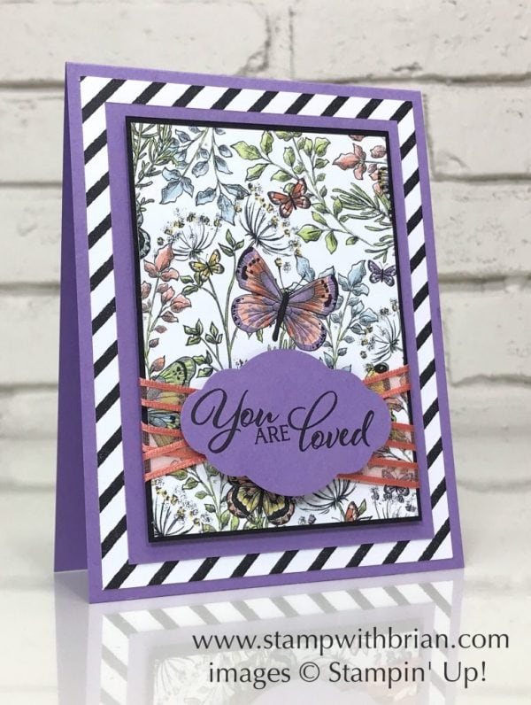 Forever Lovely, Botanical Butterfly Designer Series Paper, Stampin' Up!, Brian King