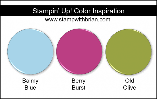 Stampin' Up! Color Inspiration - Balmy Blue, Berry Burst, Old Olive