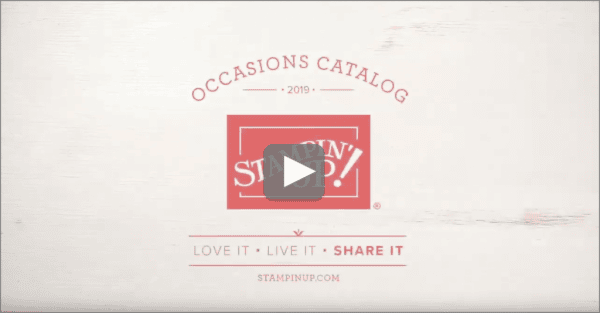 New Catalog Video