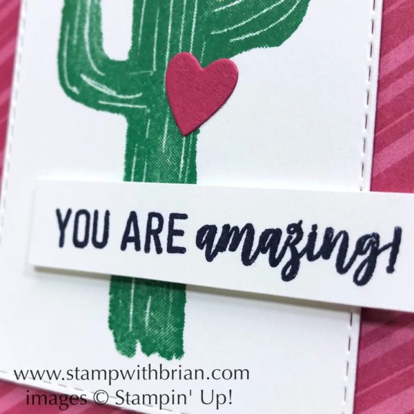 Flowering Desert, Amazing Life, Stampin' Up!, Brian King, Valentine's Day card