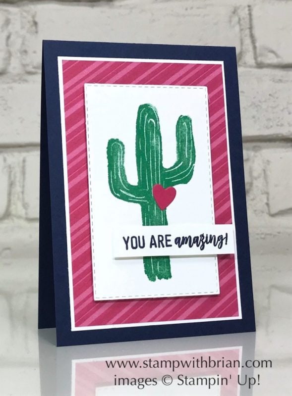 Flowering Desert, Amazing Life, Stampin' Up!, Brian King, Valentine's Day card