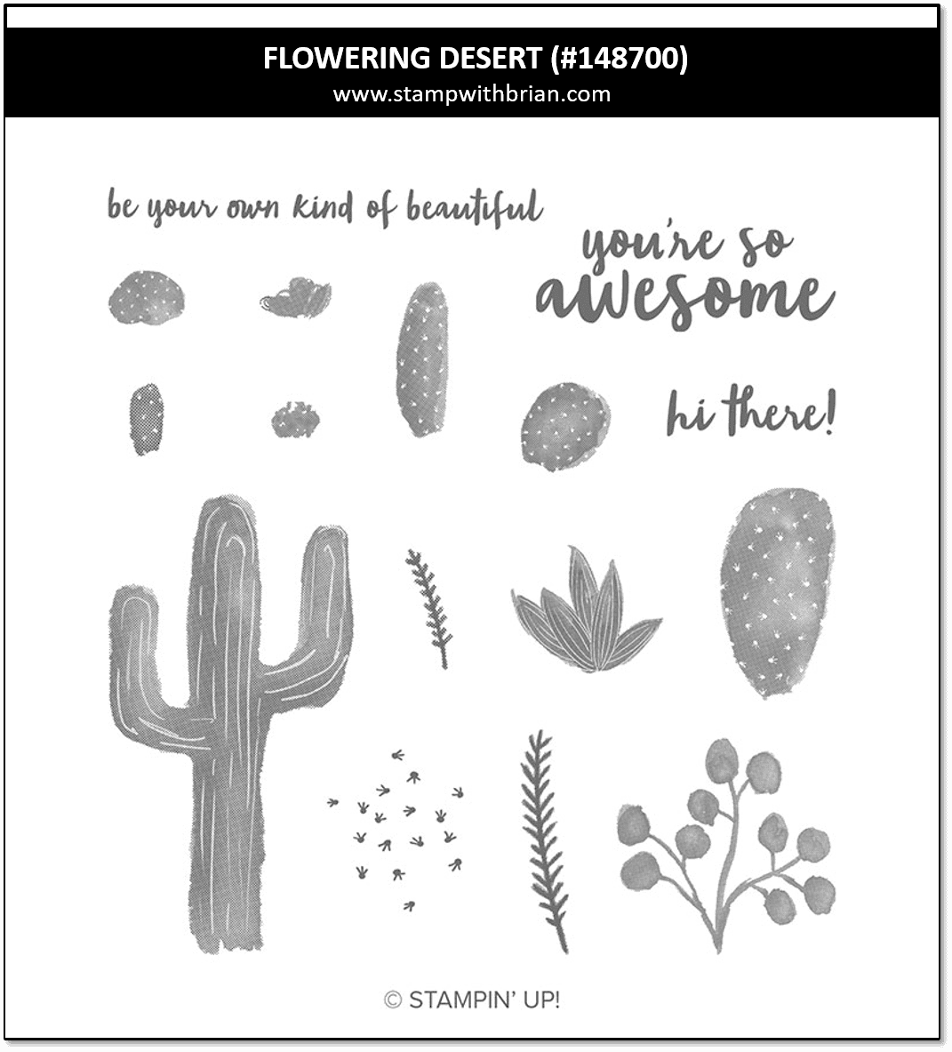 Flowering Desert, Stampin' Up! 148700