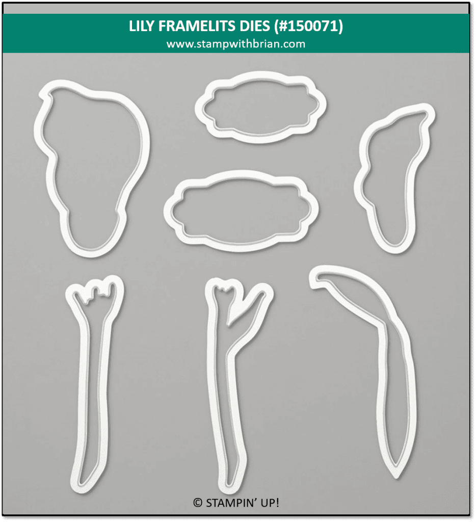 Lily Framelits Dies, Stampin' Up! 150071