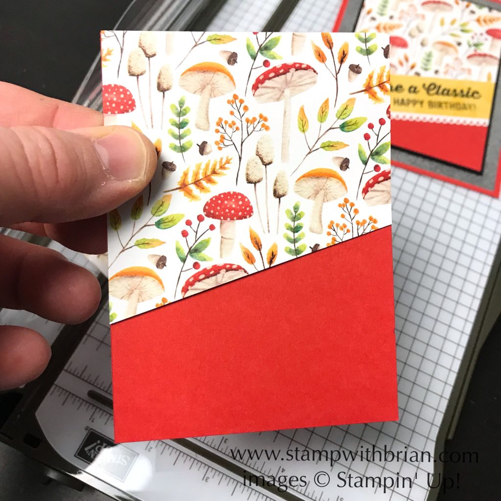 Tips for using diagonals on a card, Stampin' Up!, Brian King
