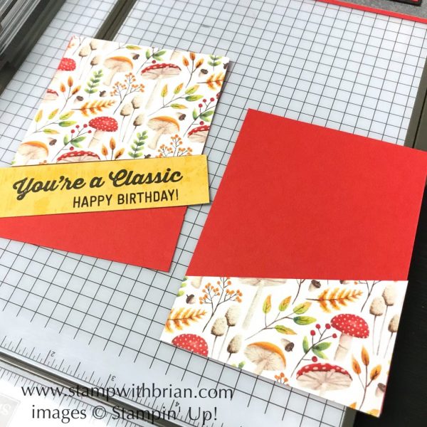 Tips for using diagonals on a card, Stampin' Up!, Brian King