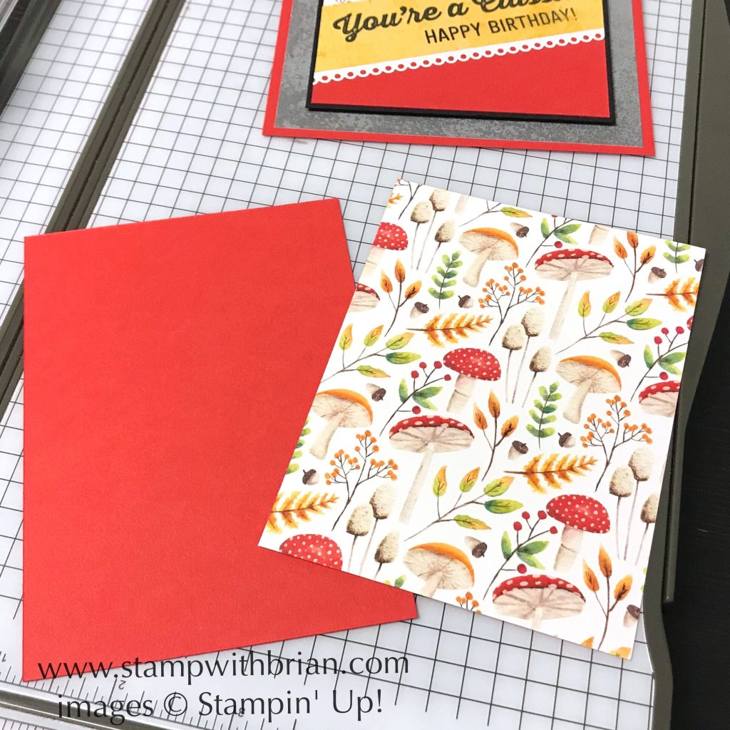 Tips for using diagonals on a card, Stampin' Up!, Brian King