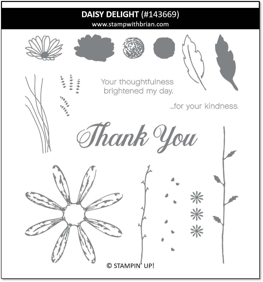 Daisy Delight, Stampin' Up!, 143669