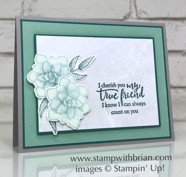 Painted Seasons, Strong & Beautiful, Stampin' Up!, Brian King