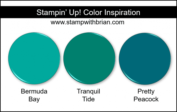 2019-2021 In Color Comparison, Pretty Peacock