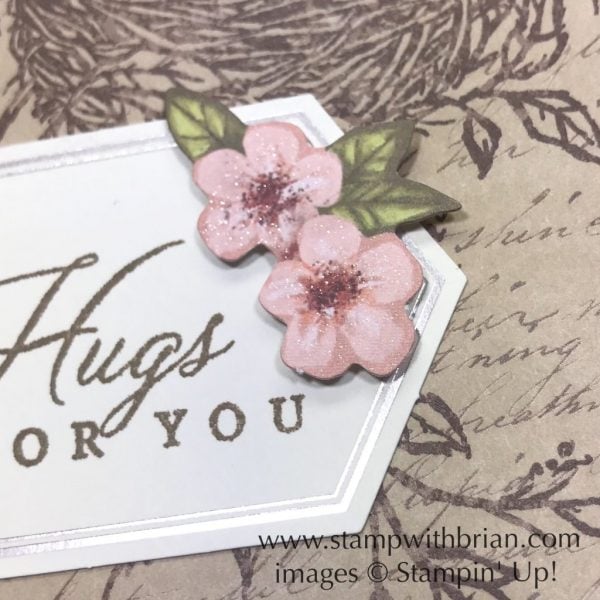 Hugs from Shelli Paper Pumpkin Kit - May 2019, Alternative Project, Stampin' Up!, Brian King
