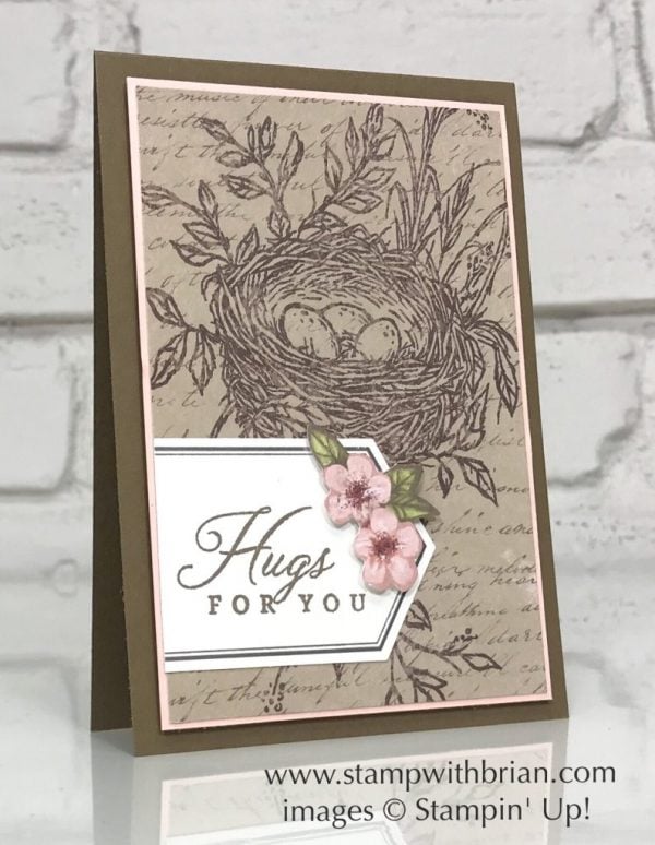 Hugs from Shelli Paper Pumpkin Kit - May 2019, Alternative Project, Stampin' Up!, Brian King