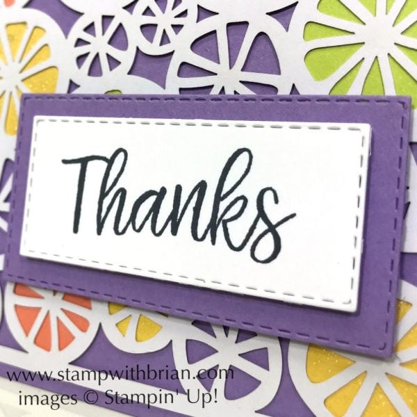 Incredible Like You Project Kit, Beach Happy, Stampin' Up!, Brian King