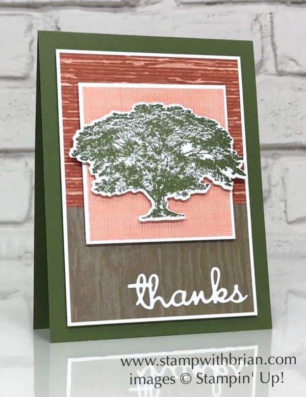 Rooted in Nature, Well Written Framelits Dies, Stampin' Up!, Brian King Rooted in Nature, Well Written Framelits Dies, Stampin' Up!, Brian King