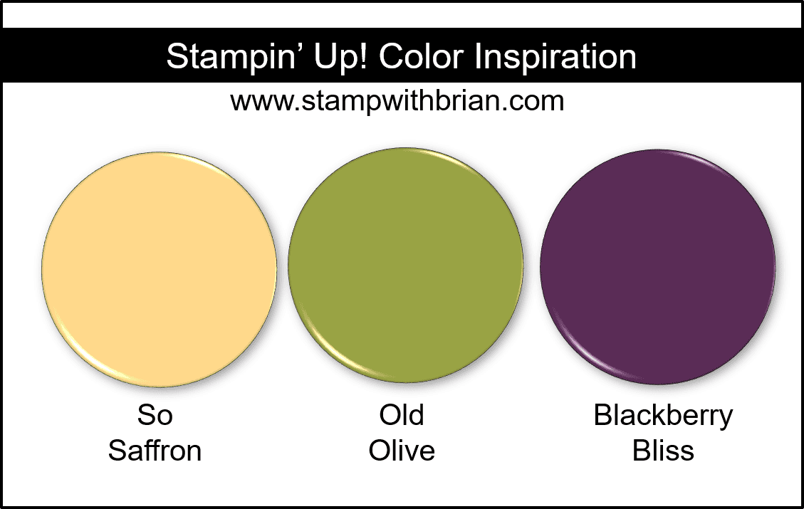 Stampin' Up! Color Inspiration - So Saffron, Old Olive, Blackberry Bliss Stampin' Up! Color Inspiration - So Saffron, Old Olive, Blackberry Bliss