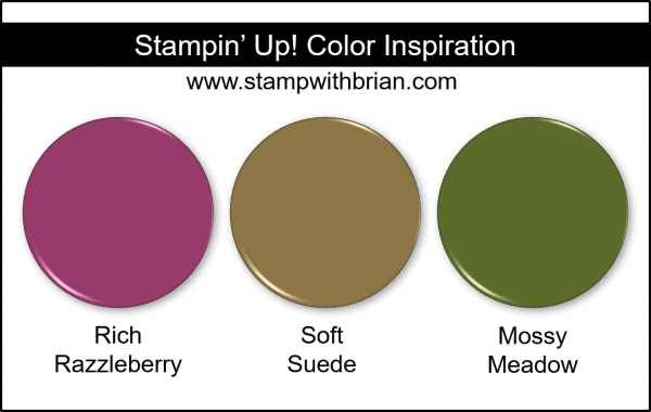 Stampin' Up! Color Inspiration - Rich Razzleberry, Soft Suede, Mossy Meadow
