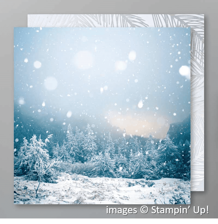 Feels Like Frost Specialty Designer Series Paper, Stampin' Up!