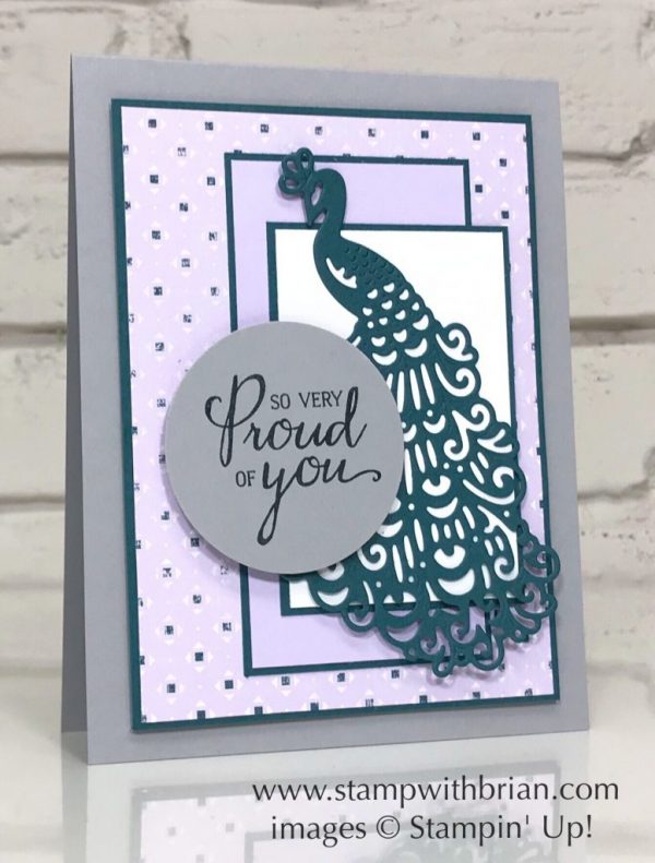 Royal Peacock Bundle, Woven Threads Designer Series Paper, Stampin' Up!, Brian King