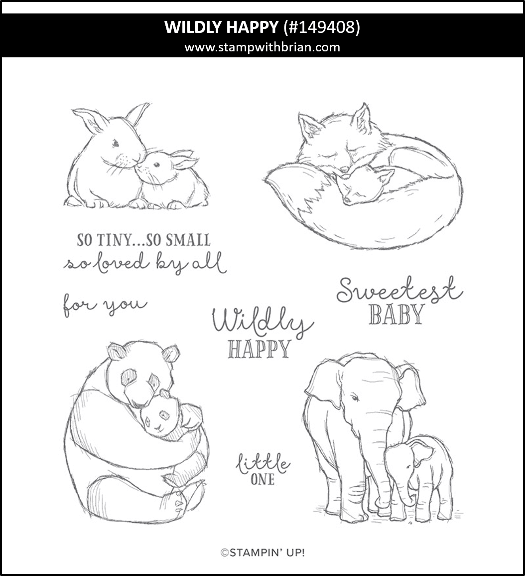 Wildly Happy, Stampin' Up! 149408