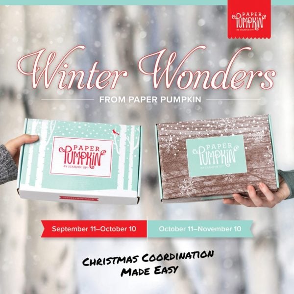 Winter Woods Paper Pumpkin, Stampin' Up!