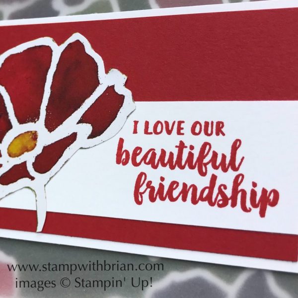 See a Silhouette Designer Series Paper, Beautiful Friendship, Stampin' Up!, Brian King