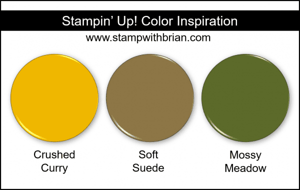Stampin' Up! Color Inspiration - Crushed Curry, Soft Suede, Mossy Meadow