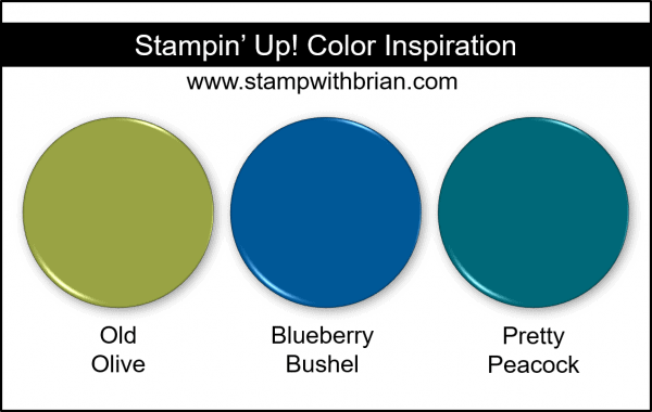 Stampin' Up! Color Inspiration - Old Olive, Blueberry Bushel, Pretty Peacock