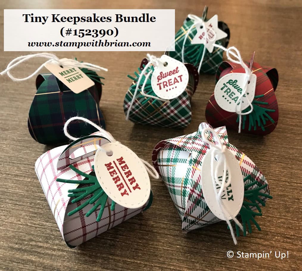 Wrapped In Plaid Meets Tiny Keepsakes STAMP WITH BRIAN