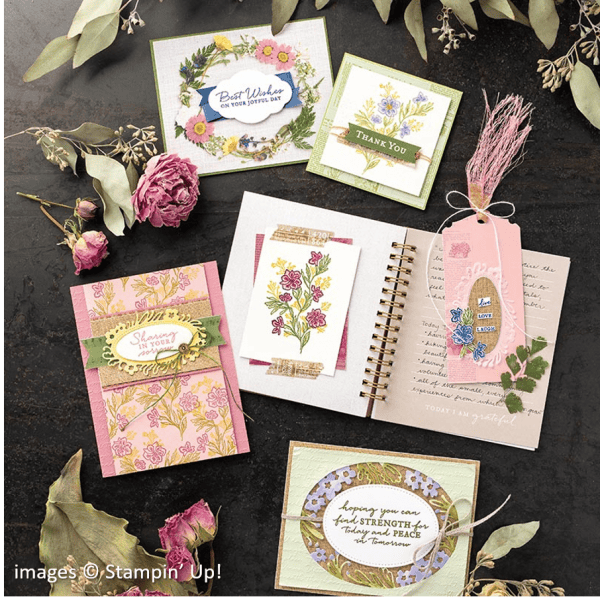 Path of Petals Bundle, Stampin' Up!, Catalog Samples Path of Petals Bundle, Stampin' Up!, Catalog Samples
